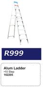 Alum Ladder 10 Step 162205