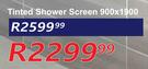 Tinted Shower Screen 900 x 1900