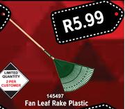Fan Leaf Rake Plastic