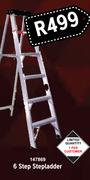 6 Step Ladder