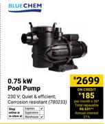 Blue Chem 0.75kW Pool Pump 780233