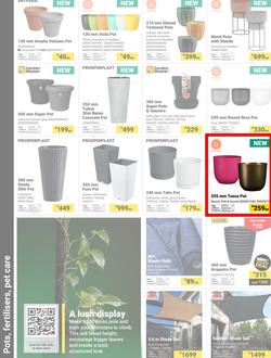 Builders : Make It A Home For The Holidays (02 December 2025 - 02 February 2026), page 6