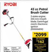 Ryobi 43cc Petrol Brush Cutter 850006830