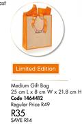 Medium Gift Bag 25 x 8 x 21.8cm