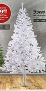 Wit Kersboom 1.2m