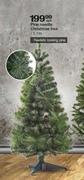 Pine Needle Christmas Tree 1.1m-Each