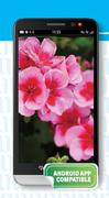 BlackBerry Z30-On Smart S