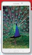 Samsung Galaxy Tab 4 7.0 8GB-On MyGig 1