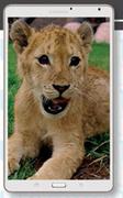 Samsung Galaxy Tab S 8.4 16GB-On MyGig 1