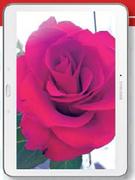 Samsung Galaxy Tab 4 10.1 16GB-On MyGig 1