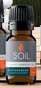 Soil Organic Essential Oil Wintergreen-10ml