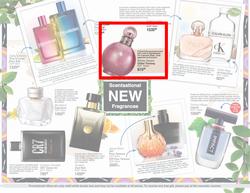 Dis-Chem : Beauty Fair (19 August - 13 September 2020), page 17