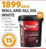 Plascon 20L Wall & All White 1000735