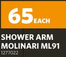 Shower Arm Molinari ML91 1277022