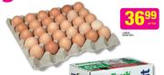 Large Eggs-30's Per Tray