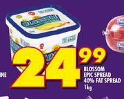 Blossom Epic Spread 40% Fat Spread-1kg