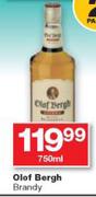 Olof Bergh Brandy-750ml