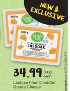 Lactose Free Cheddar/Gouda Cheese-300g Each