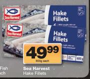 Sea Harvest Hake Fillet-600g Each