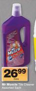 Mr Muscle Tile Cleaner-750ml Each