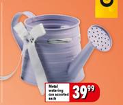 Metal Watering Can Assorted Each