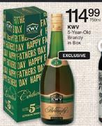 KWV 5-Year-Old Brandy In Box-750ml