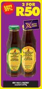 Mrs. Ball's Chutney-2x470g