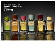 Dolce & Gabbana Velvet Collection