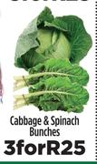 Cabbage & Spinach Bunches-For 3