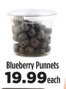Blueberry Punnets-Each