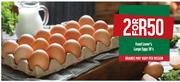Food Lover's Large Eggs-2x18's