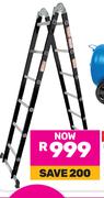 Tradequip Dual Ladder