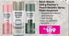 Rust Oleum Painter's Touch Metallic Spray Paint Assorted 833390/833393-340g Each