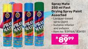 Spray Mate Fast Drying Spray Paint Assorted 834164/834151-250ml