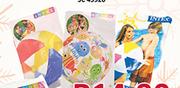 Beach Ball/Glossy Panel Ball Or Lively Print Ball-Each