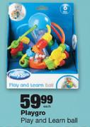 Playgro Play And Learn Ball