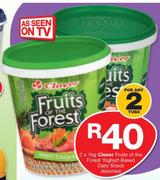 Clover Fruits Of The Forest Yoghurt Based Dairy Snack-2X1Kg