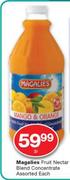Magalies Fruit Nectar Blend Concentrate-2Ltr Each