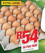 Extra Large Eggs-30 Per Tray