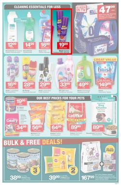 Checkers Gauteng, Mpumalanga, Limpopo, North West : January Savings Specials (21 Jan - 03 Feb 2019), page 13
