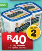 Blossom Fat Spread Assorted-2 x 1Kg