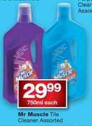 Mr Muscle Tile Cleaner-750ml Each