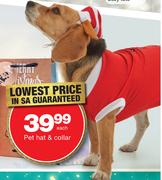 Pet Hat & Collar-Each