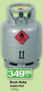 Bush Baby Gasbottel-4.5kg