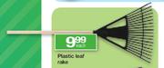 Plastic Leaf Rake Each