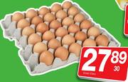 Groot Eiers-30's