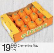 Clementine Tray-2.5Kg