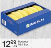 Bananas Mini Box-1.2Kg