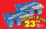 Danone Nutriday Smooth Yoghurt-2x6x100g