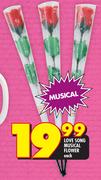 Love Song Musical Flower-Each